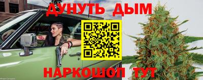 мдпв Владикавказ