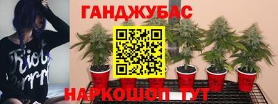 мдпв Владикавказ
