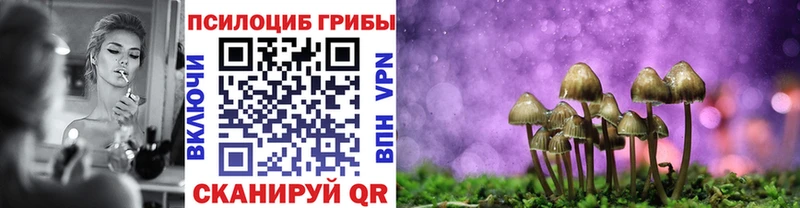 omg сайт  Белая Калитва  Галлюциногенные грибы Psilocybine cubensis 