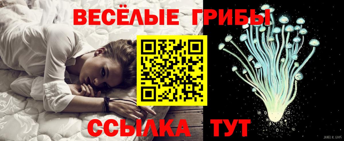 Псилоцибиновые грибы MAGIC MUSHROOMS  Вход с VPN  Белая Калитва 
